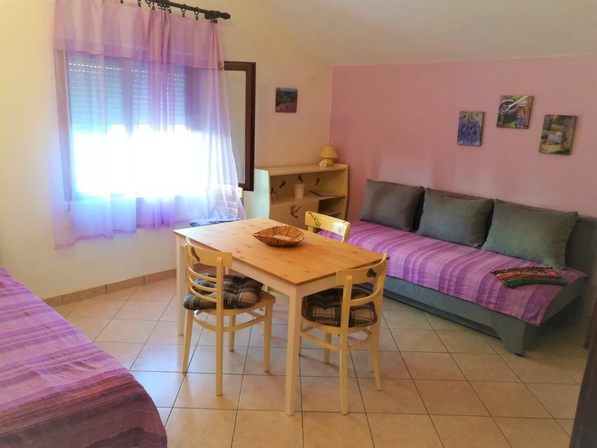 Apartments Stjepic Sukosan Bagian luar foto